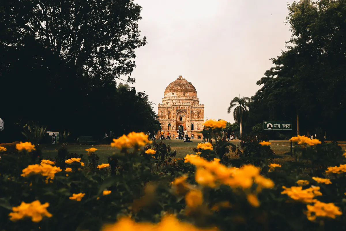 Yellow flowers in front of a lawn lined with trees, with the domed Bara Gumbad tomb in the distance in a New Delhi park