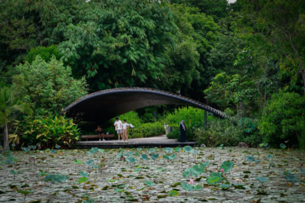 A curved shelter among bamboo and trees beside a lotus pond in the Singapore Botanic Gardens, with a few visitors